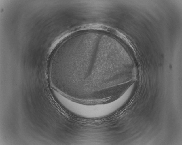 X0000087641312200705181515