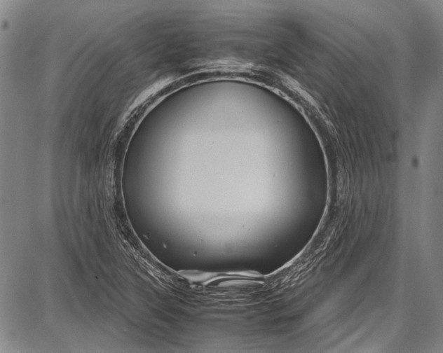 X0000087641315200705181515