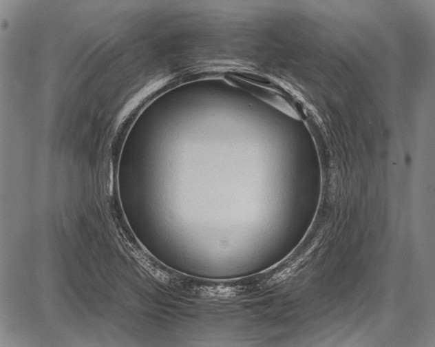 X0000087641317200705181515