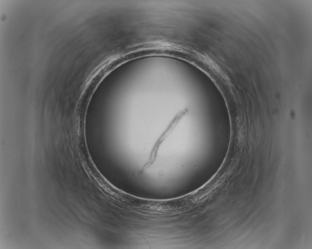 X0000087641318200705181515