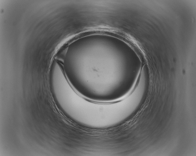 X0000087641320200705181515