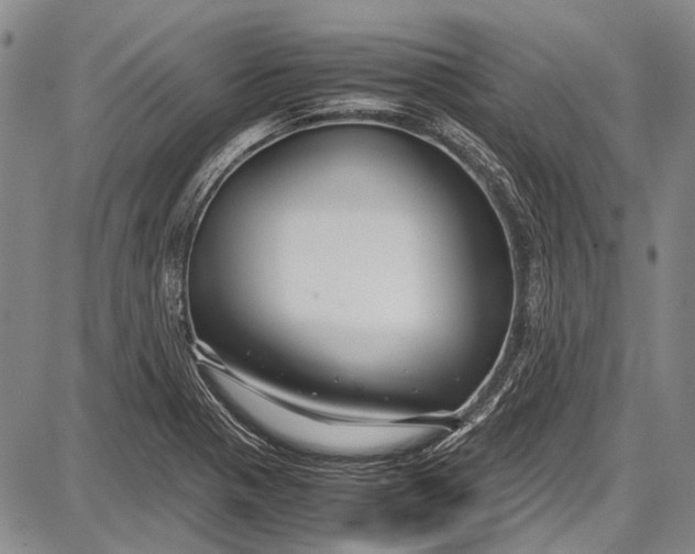 X0000087641321200705181515