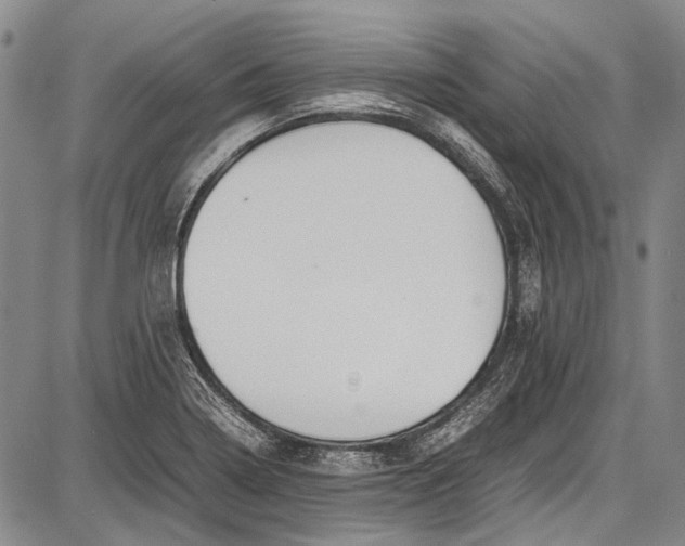 X0000087641322200705181516