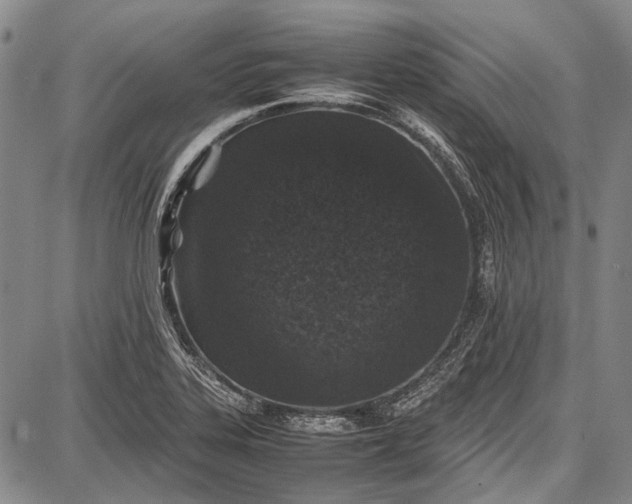 X0000087641323200705181516