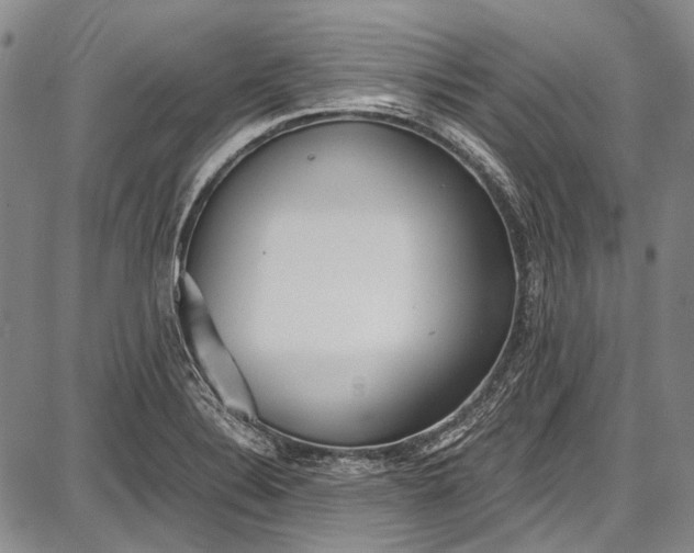 X0000087641324200705181516