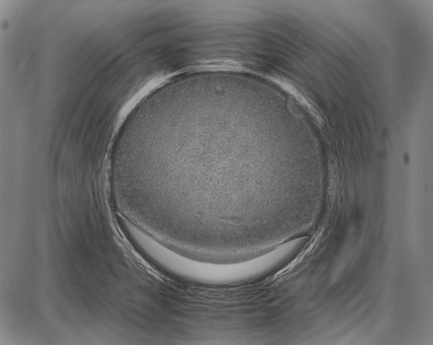 X0000087641325200705181516