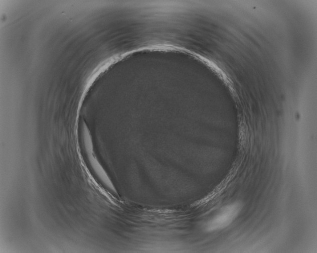 X0000087641327200705181516