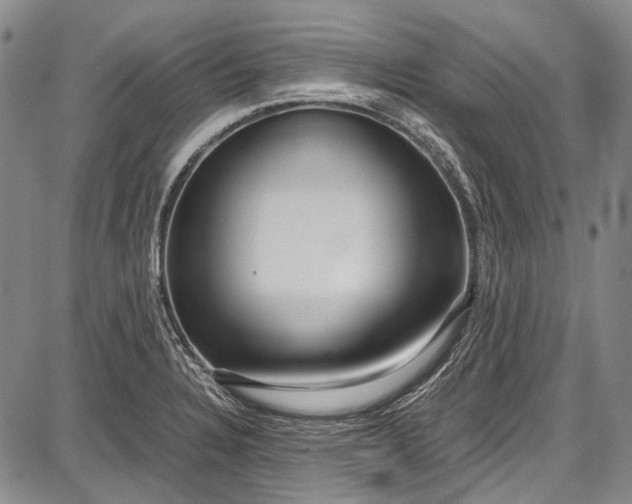 X0000087641328200705181516