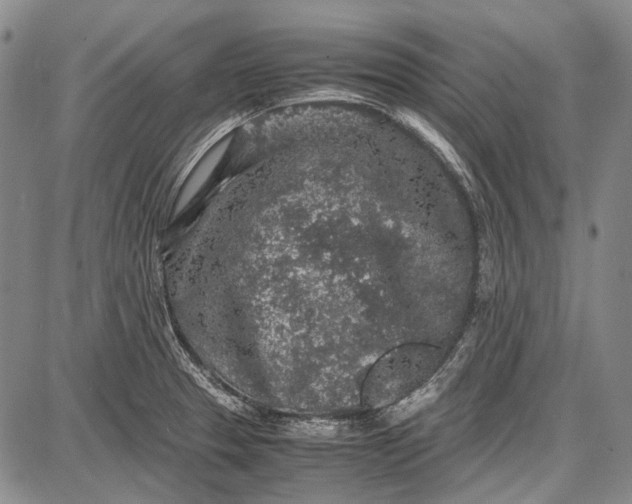 X0000087641329200705181516