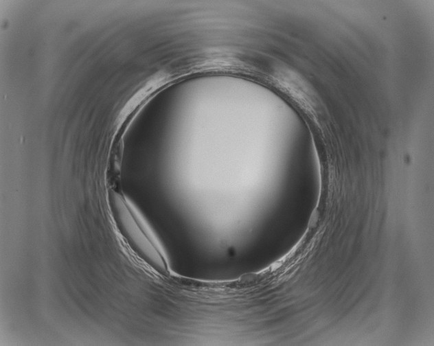 X0000087641330200705181516