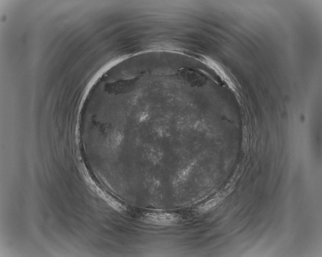 X0000087641331200705181516