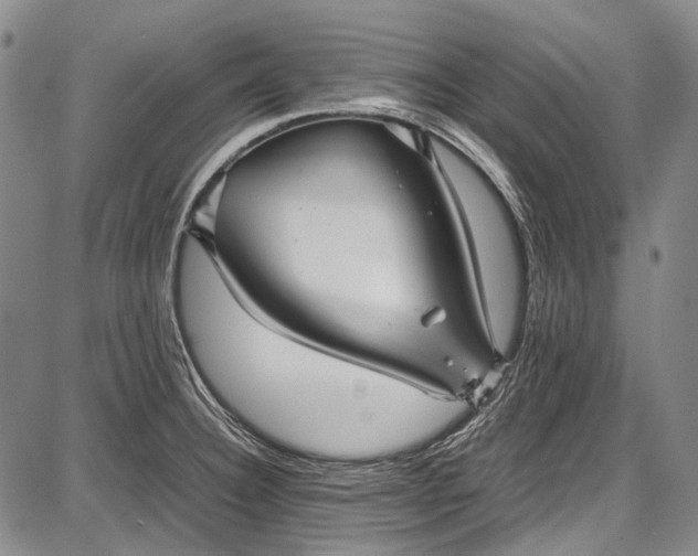 X0000087641332200705181516