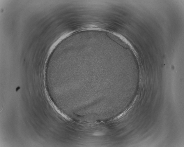 X0000087641333200705181516