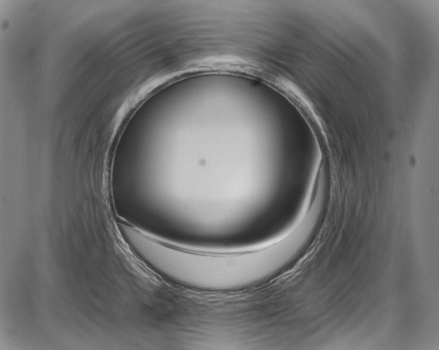 X0000087641336200705181516