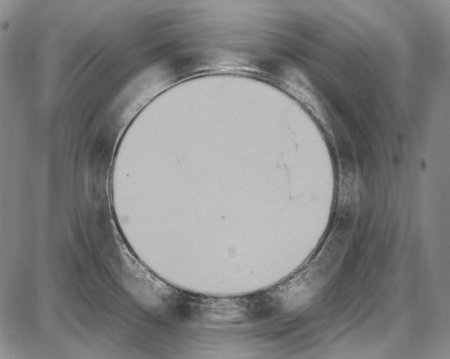 X0000087641338200705181516