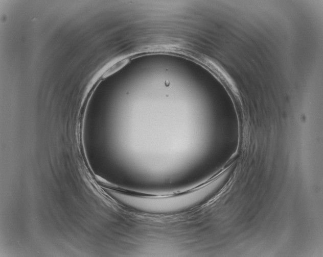 X0000087641340200705181516