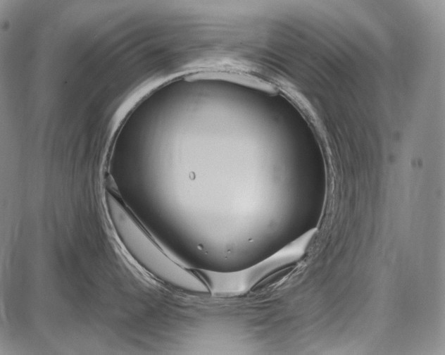 X0000087641344200705181516