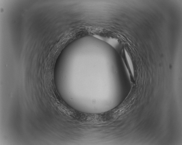 X0000087641345200705181515