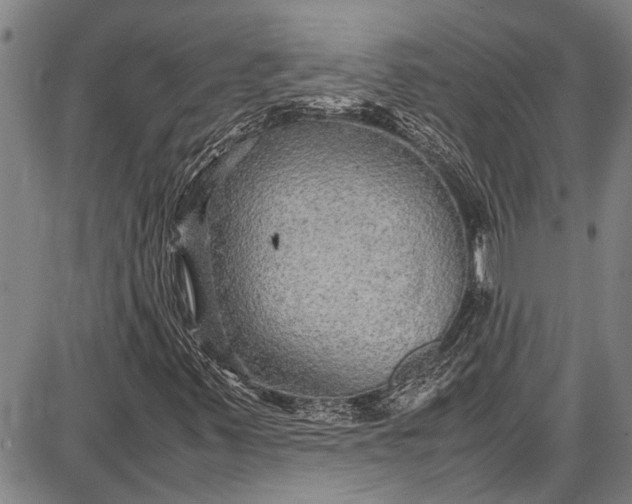 X0000087641347200705181515