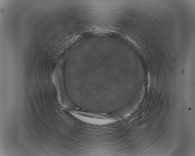 X0000087641348200705181515