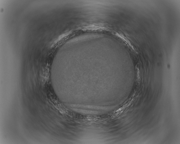 X0000087641350200705181515