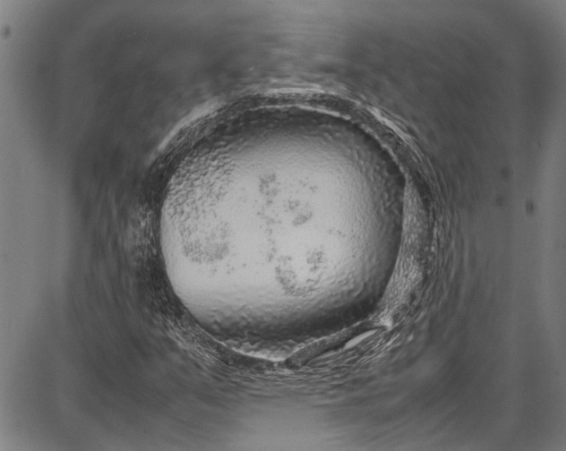 X0000087641351200705181515