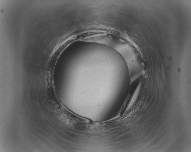 X0000087641352200705181515