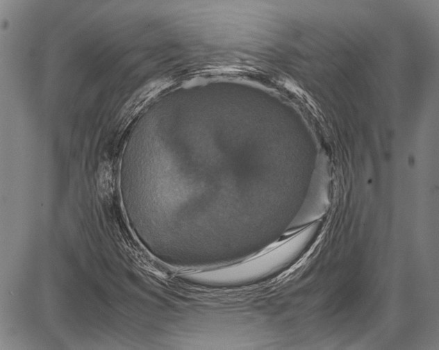 X0000087641353200705181515