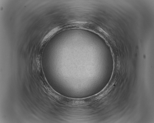 X0000087641354200705181515