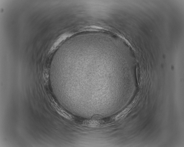 X0000087641355200705181515