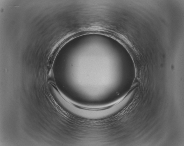 X0000087641356200705181515