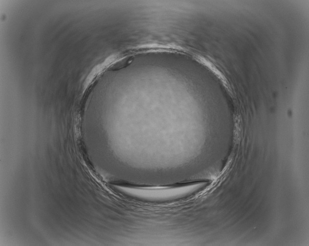 X0000087641357200705181515