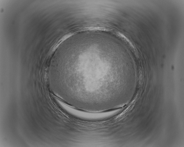 X0000087641361200705181515