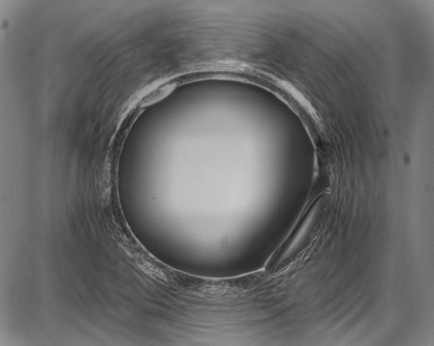 X0000087641364200705181515