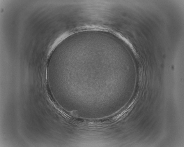 X0000087641365200705181515