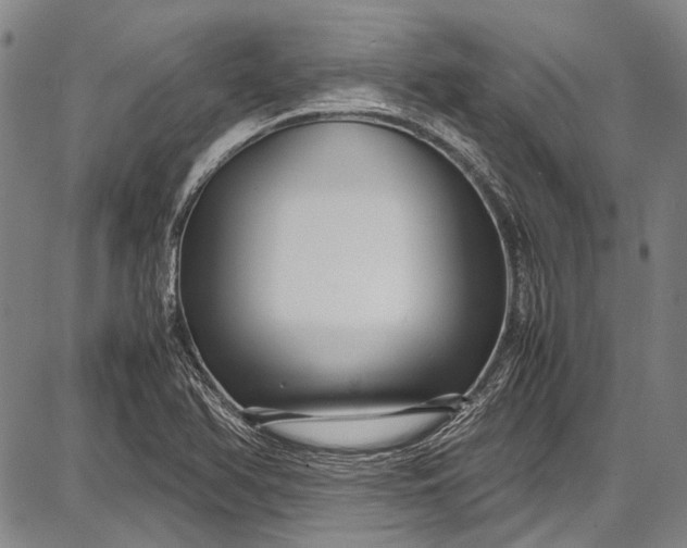 X0000087641366200705181515