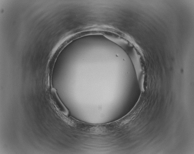 X0000087641368200705181515