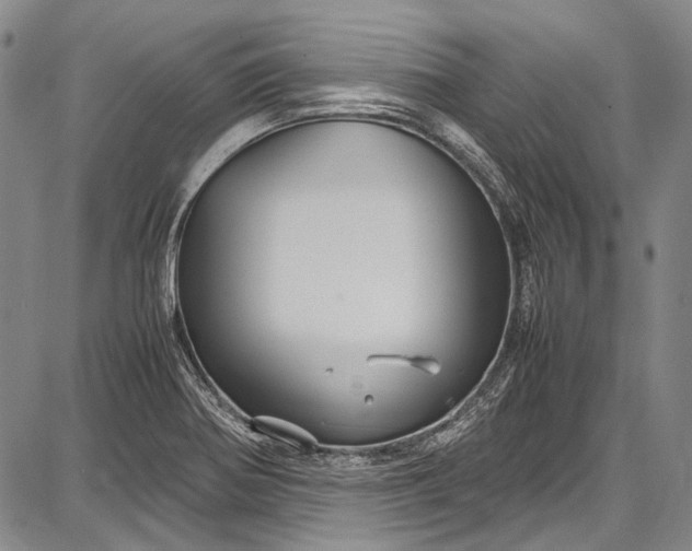 X0000087641370200705181515