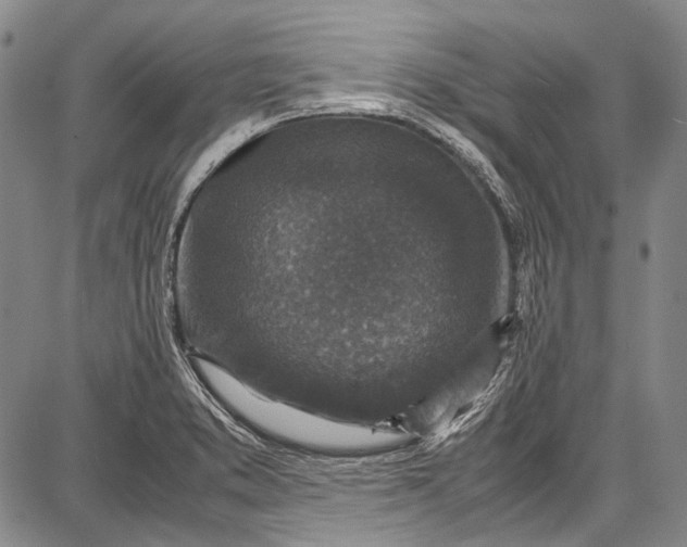 X0000087641373200705181515