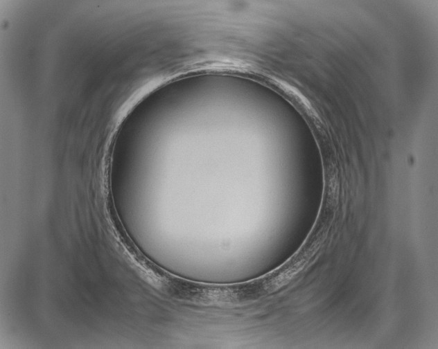 X0000087641375200705181515