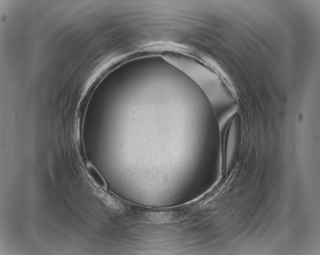 X0000087641376200705181515