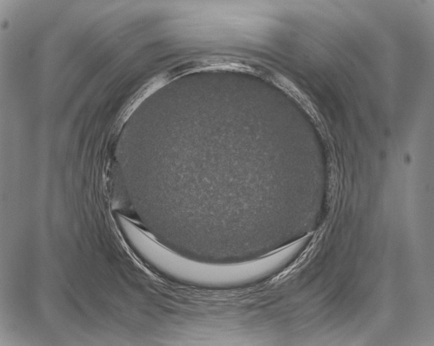 X0000087641377200705181515