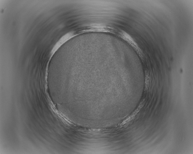 X0000087641378200705181515