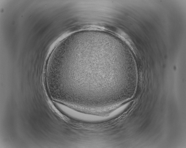 X0000087641379200705181515