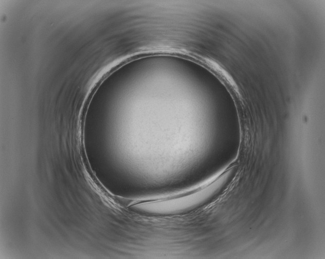 X0000087641380200705181515