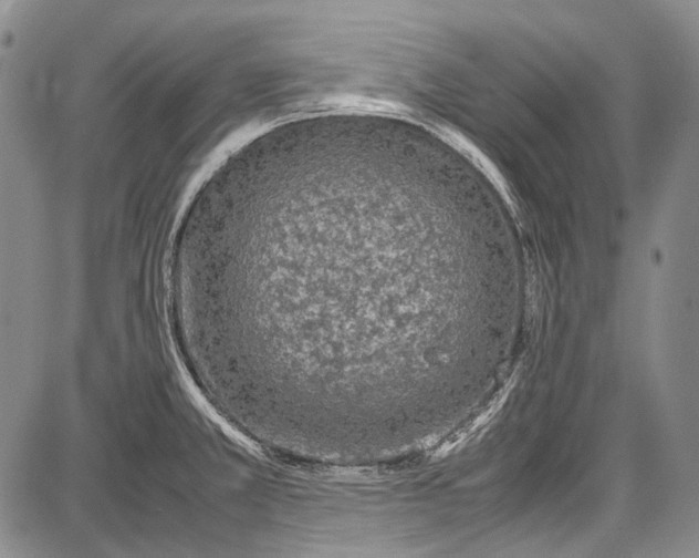 X0000087641381200705181515