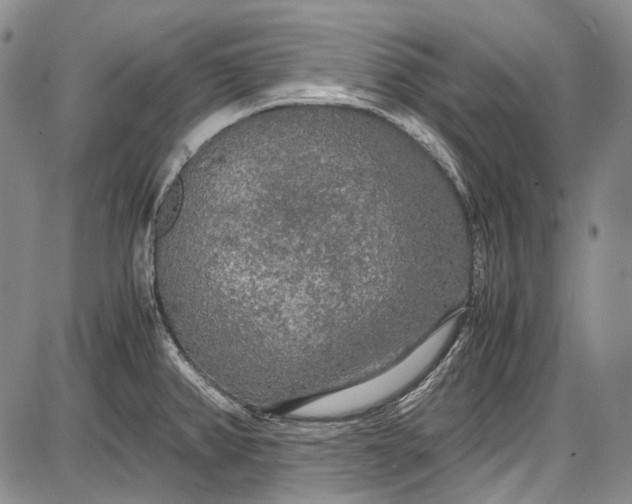 X0000087641382200705181514