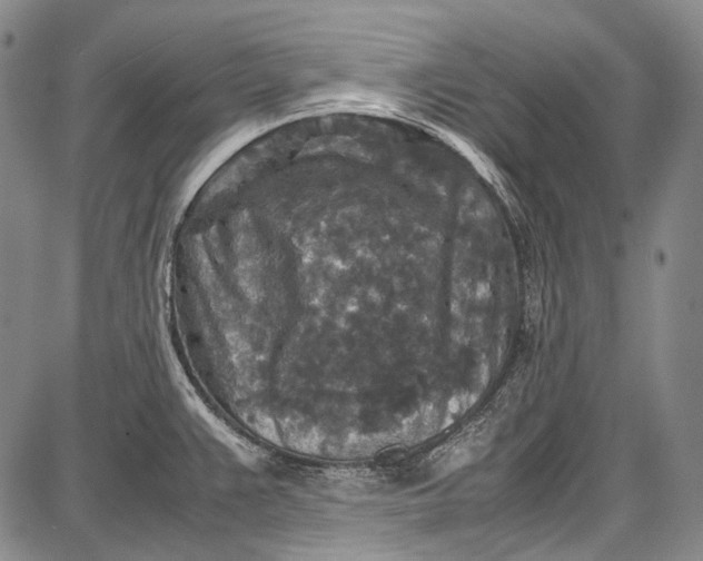 X0000087641383200705181514