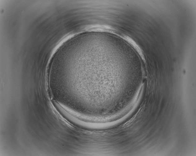 X0000087641384200705181514