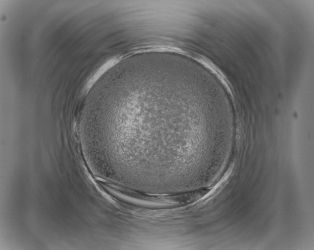 X0000087641385200705181514